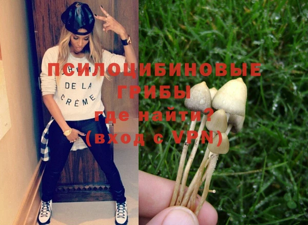 прущие грибы Бородино