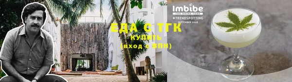 прущие грибы Бородино