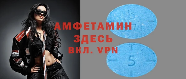 прущие грибы Бородино
