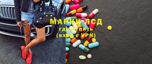 прущие грибы Бородино