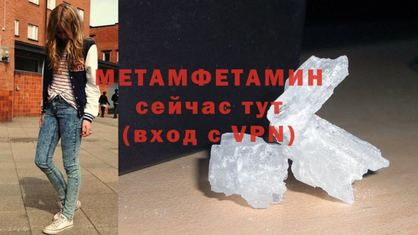 прущие грибы Бородино