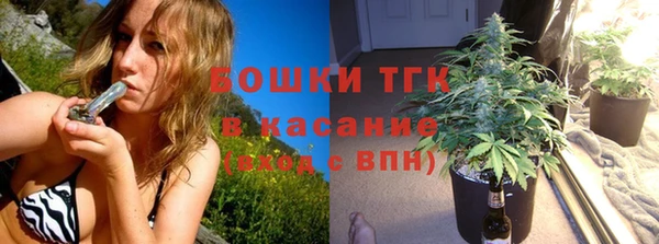 прущие грибы Бородино
