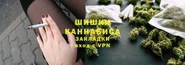 прущие грибы Бородино
