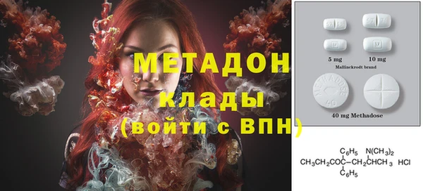 прущие грибы Бородино