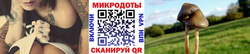 hydra ссылки  Владикавказ  Галлюциногенные грибы Magic Shrooms 
